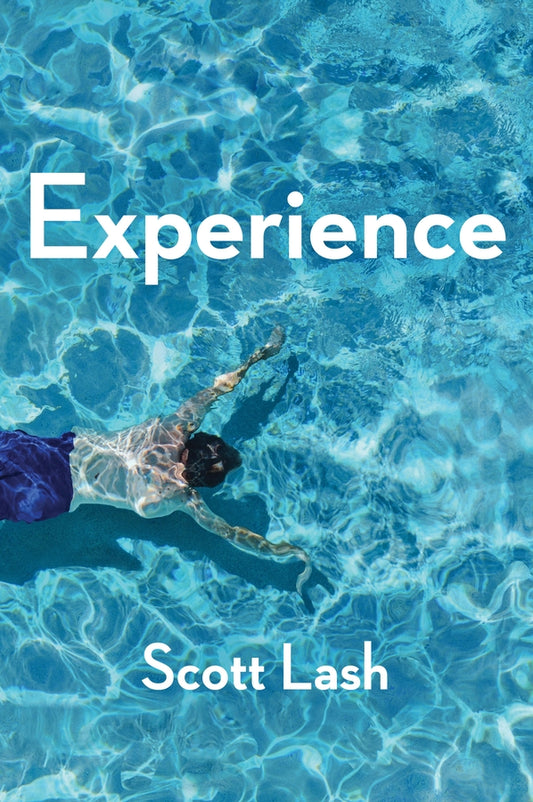 Experience; New Foundations for the Human Sciences (Hardback) 9780745695143