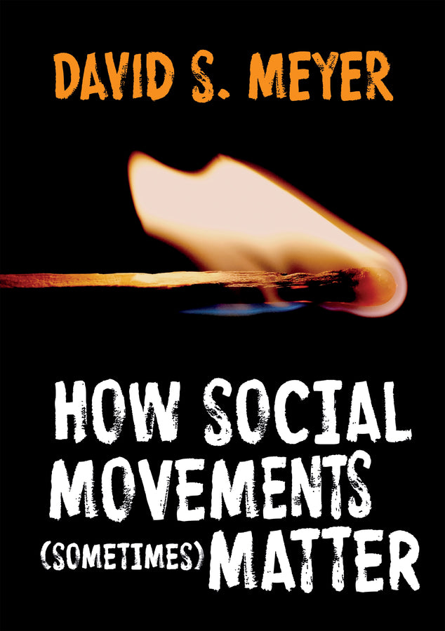 How Social Movements (Sometimes) Matter (Paperback / softback) 9780745696850