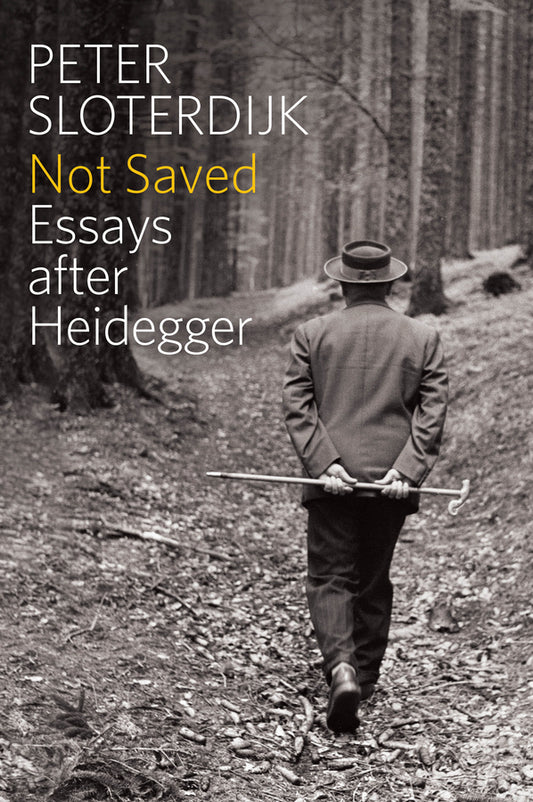 Not Saved; Essays After Heidegger (Paperback / softback) 9780745696997