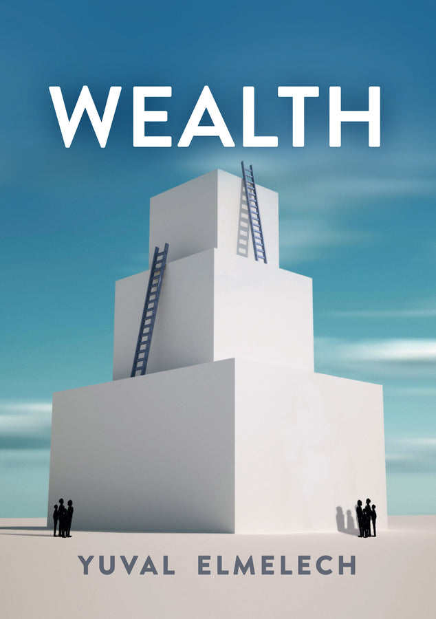 Wealth (Hardback) 9780745697864