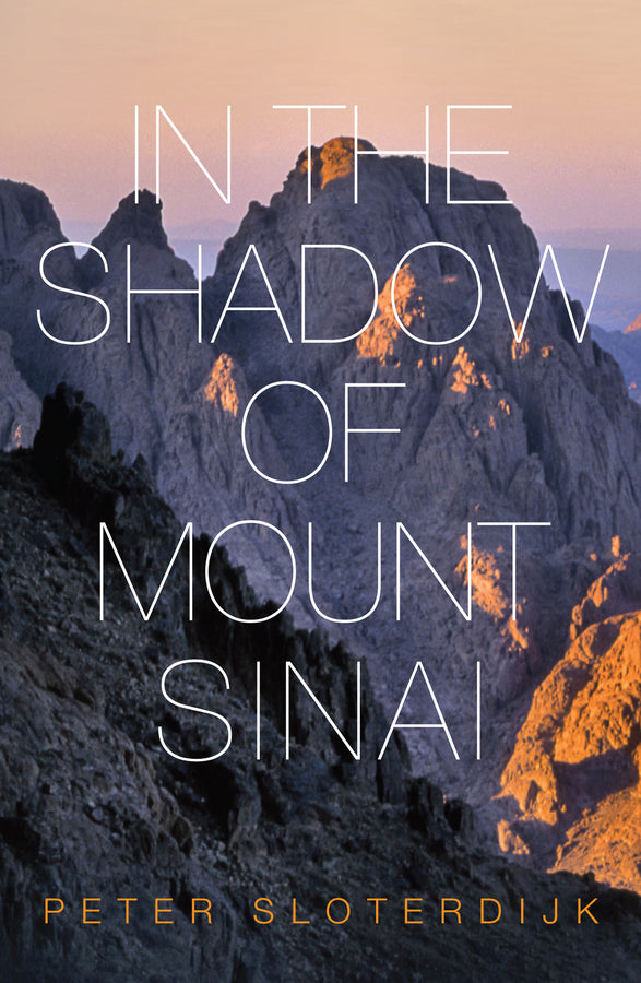 In The Shadow of Mount Sinai (Paperback / softback) 9780745699240