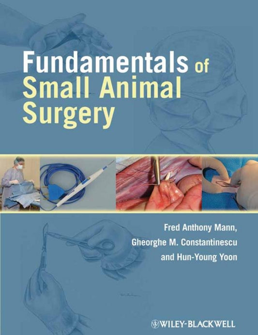 Fundamentals of Small Animal Surgery (Paperback / softback) 9780781761185