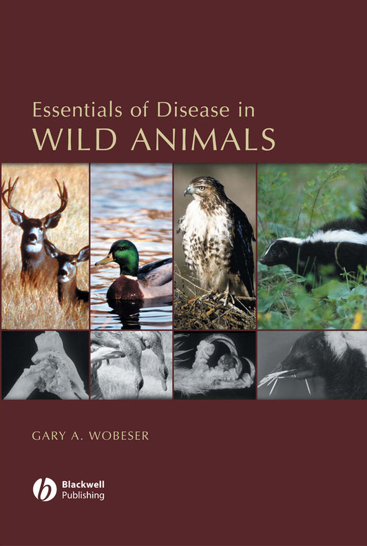 Essentials of Disease in Wild Animals (Hardback) 9780813805894
