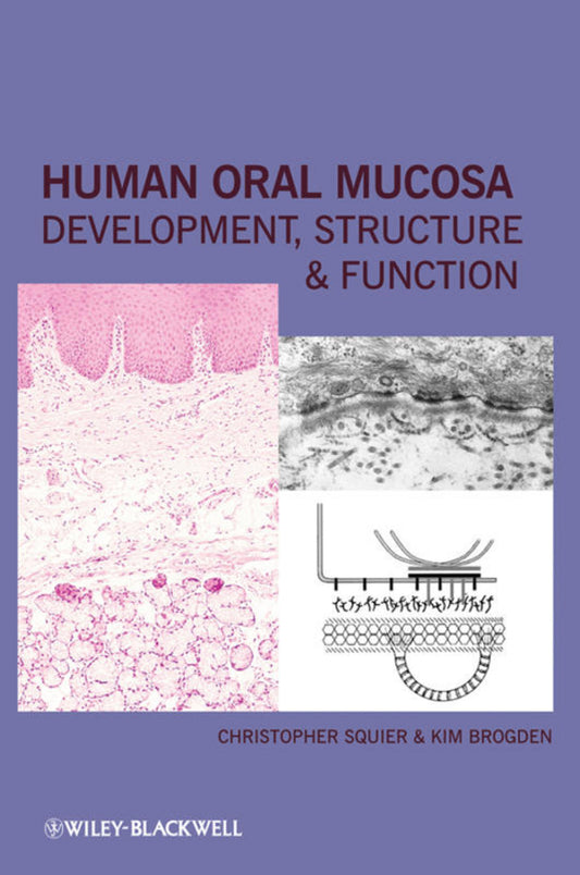 Human Oral Mucosa; Development, Structure and Function (Hardback) 9780813814865
