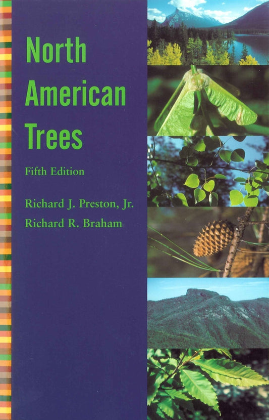 North American Trees (Paperback / softback) 9780813815268