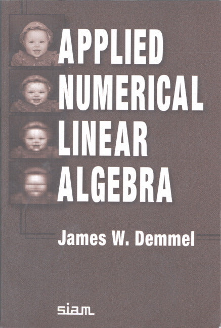 Applied Numerical Linear Algebra (Paperback / softback) 9780898713893