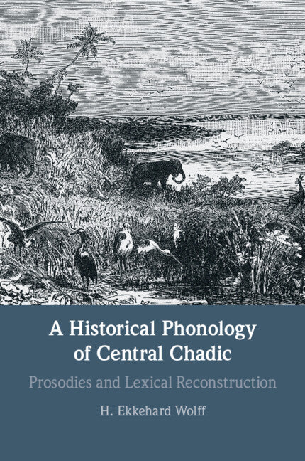 A Historical Phonology of Central Chadic; Prosodies and Lexical Reconstruction (Paperback / softback) 9781009010672