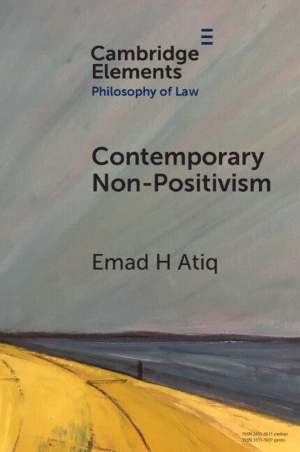 Contemporary Non-Positivism (Paperback / softback) 9781009288309
