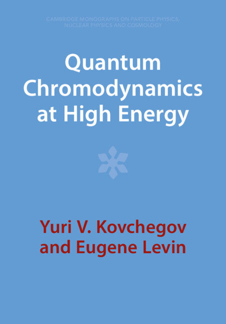 Quantum Chromodynamics at High Energy (Paperback / softback) 9781009291422