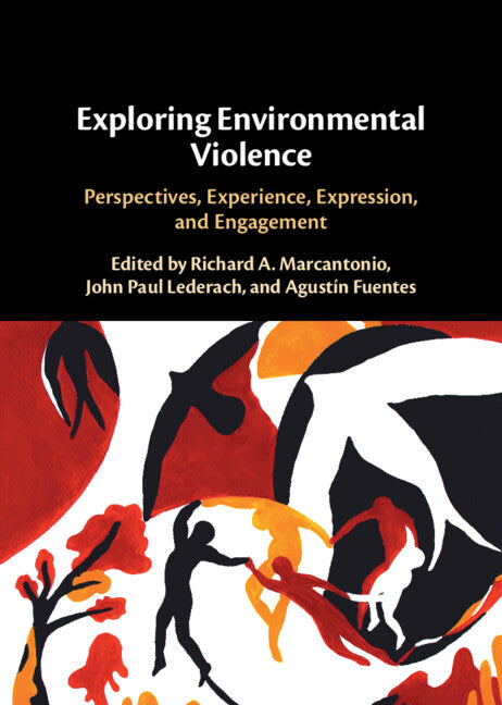 Exploring Environmental Violence; Perspectives, Experience, Expression, and Engagement (Hardback) 9781009417143