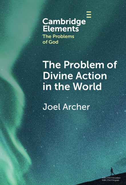 The Problem of Divine Action in the World (Hardback) 9781009475853
