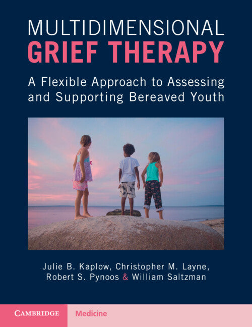 Multidimensional Grief Therapy; A Flexible Approach to Assessing and Supporting Bereaved Youth (Paperback / softback) 9781107566507