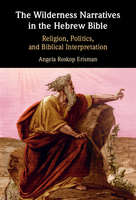 The Wilderness Narratives in the Hebrew Bible; Religion, Politics, and Biblical Interpretation (Hardback) 9781108499750