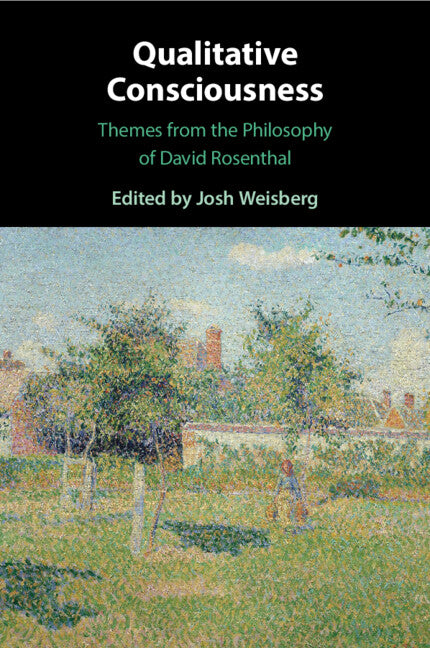 Qualitative Consciousness; Themes from the Philosophy of David Rosenthal (Paperback / softback) 9781108738132