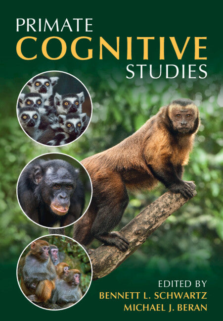 Primate Cognitive Studies (Paperback / softback) 9781108958196