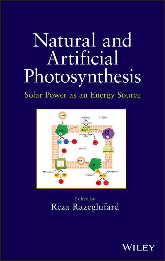 Natural and Artificial Photosynthesis; Solar Power as an Energy Source (Hardback) 9781118160060