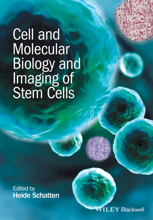 Cell and Molecular Biology and Imaging of Stem Cells (Hardback) 9781118284100