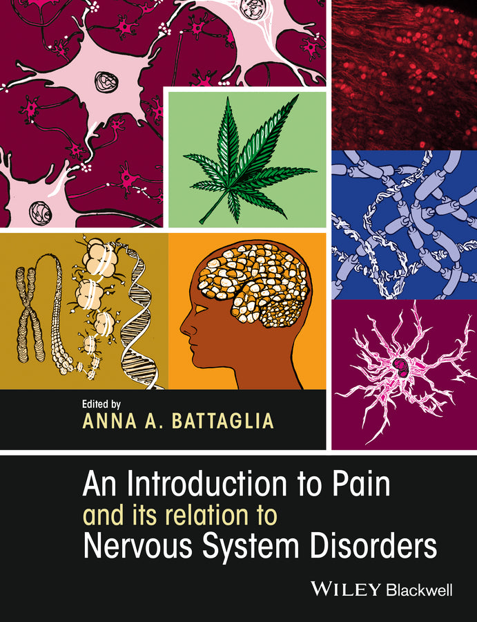 An Introduction to Pain and its relation to Nervous System Disorders (Paperback / softback) 9781118455975