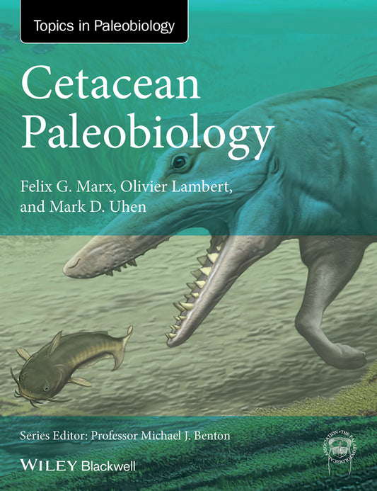 Cetacean Paleobiology (Paperback / softback) 9781118561539