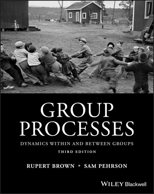 Group Processes; Dynamics within and Between Groups (Paperback / softback) 9781118719299