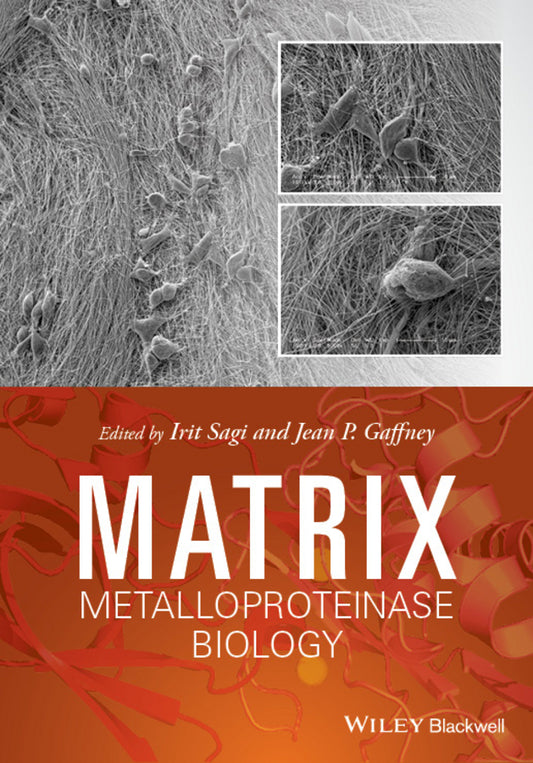 Matrix Metalloproteinase Biology (Hardback) 9781118772324