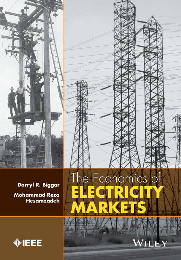 The Economics of Electricity Markets (Hardback) 9781118775752