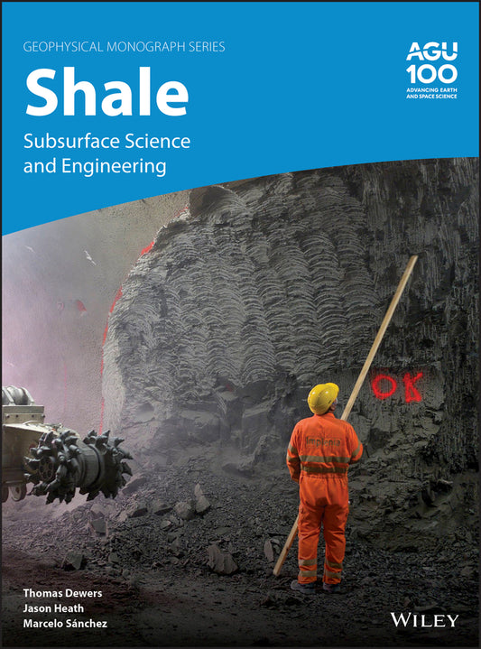 Shale; Subsurface Science and Engineering (Hardback) 9781119066682