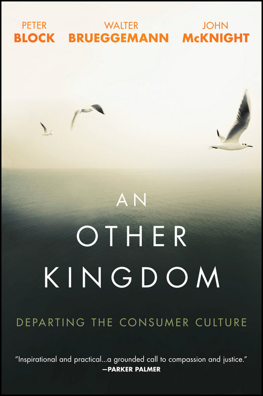 An Other Kingdom; Departing the Consumer Culture (Paperback / softback) 9781119194729