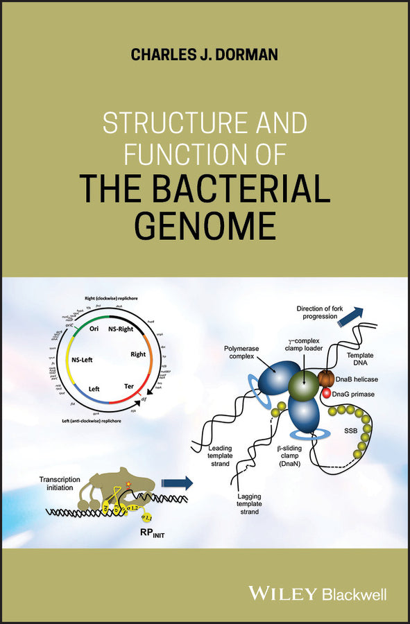 Structure and Function of the Bacterial Genome (Hardback) 9781119308799