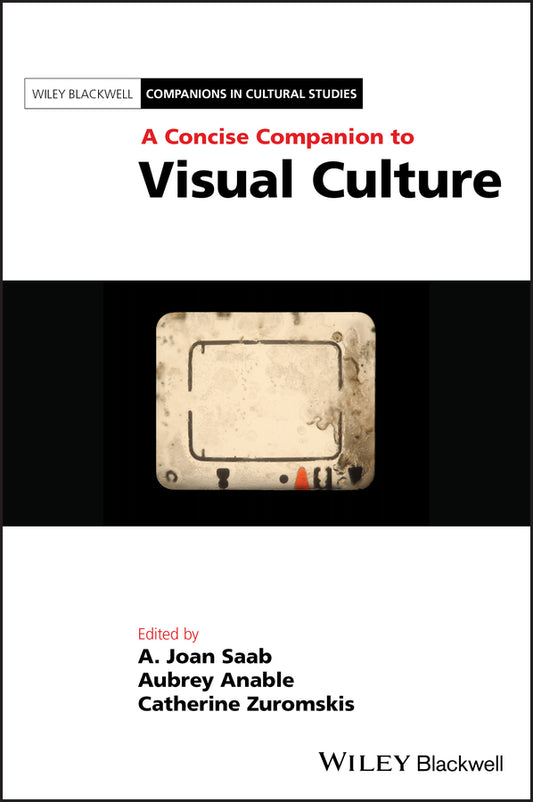 A Concise Companion to Visual Culture (Hardback) 9781119415404