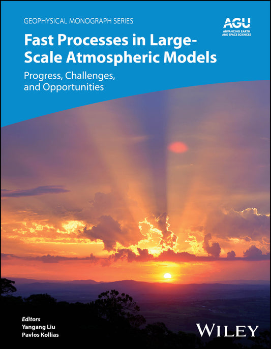 Fast Processes in Large-Scale Atmospheric Models; Progress, Challenges, and Opportunities (Hardback) 9781119528999
