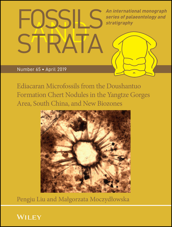 Ediacaran Microfossils from the Doushantuo Formation Chert Nodules in the Yangtze Gorges Area, South China, and New Biozones (Paperback / softback) 9781119564195