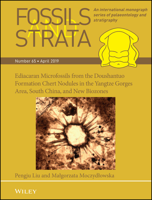 Ediacaran Microfossils from the Doushantuo Formation Chert Nodules in the Yangtze Gorges Area, South China, and New Biozones (Paperback / softback) 9781119564195