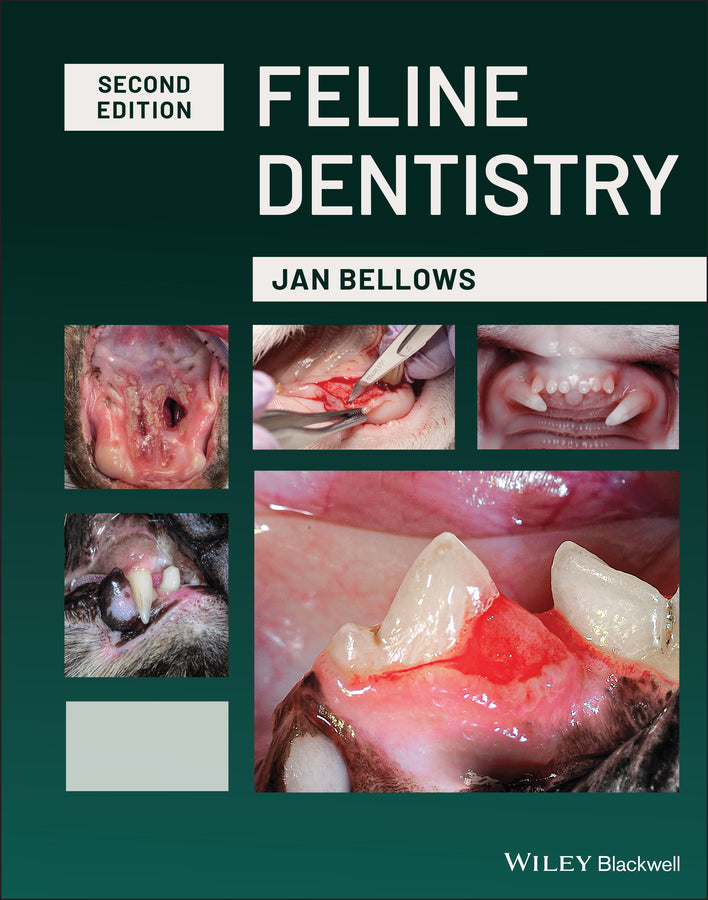Feline Dentistry (Hardback) 9781119568018