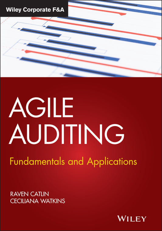 Agile Auditing; Fundamentals and Applications (Hardback) 9781119693321