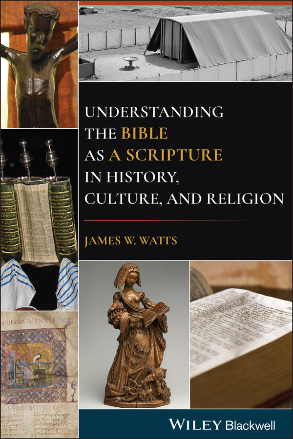 Understanding the Bible as a Scripture in History, Culture, and Religion (Paperback / softback) 9781119730378