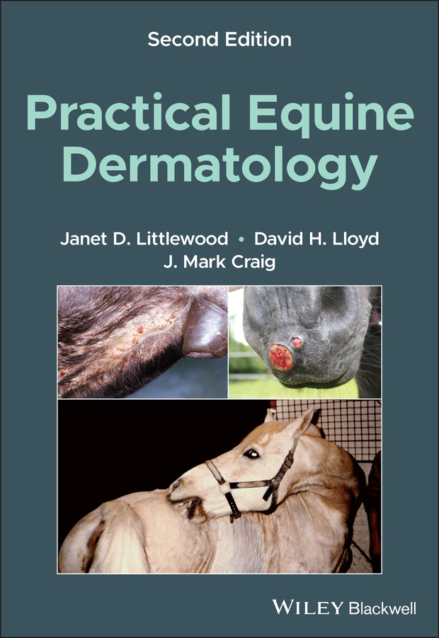 Practical Equine Dermatology (Paperback / softback) 9781119765486