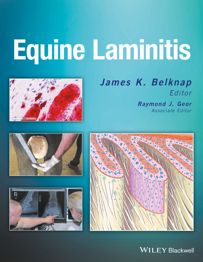 Equine Laminitis (Hardback) 9781119944713