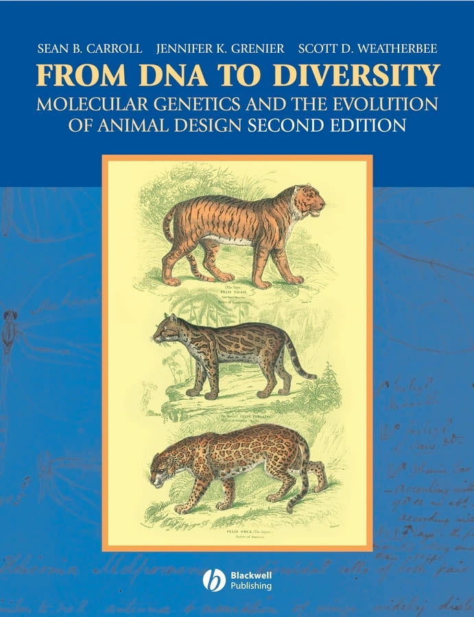 From DNA to Diversity; Molecular Genetics and the Evolution of Animal Design (Paperback / softback) 9781405119504