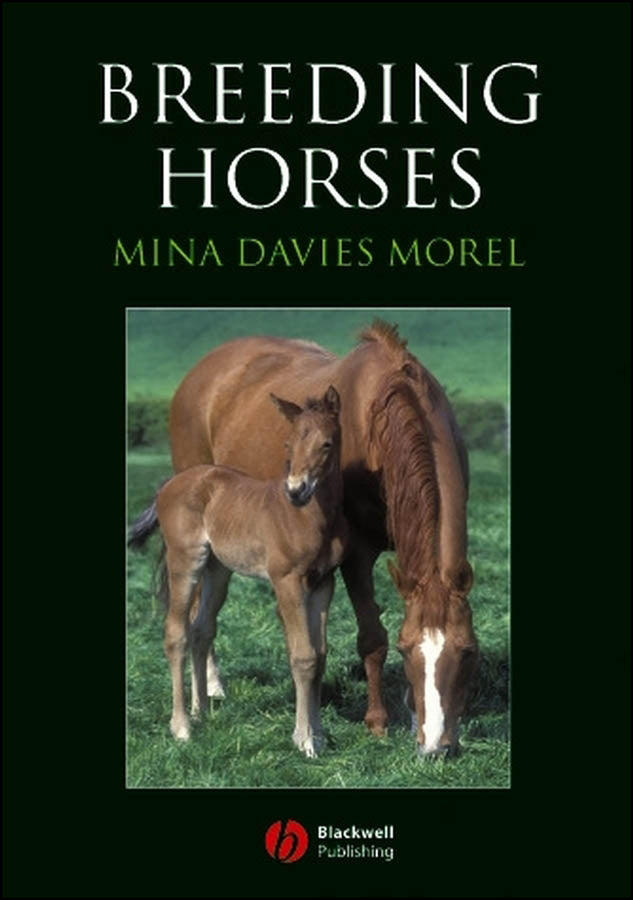 Breeding Horses (Paperback / softback) 9781405129664