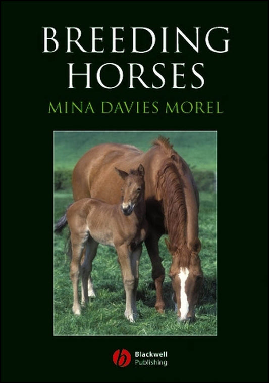 Breeding Horses (Paperback / softback) 9781405129664
