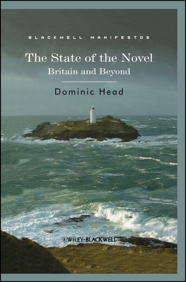 The State of the Novel; Britain and Beyond (Hardback) 9781405170116