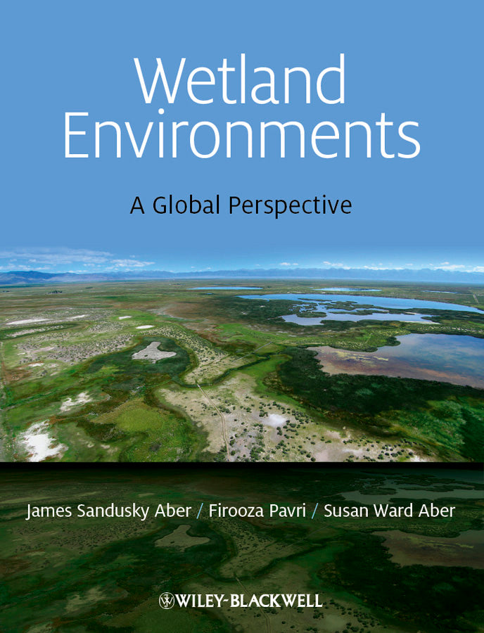 Wetland Environments; A Global Perspective (Hardback) 9781405198417