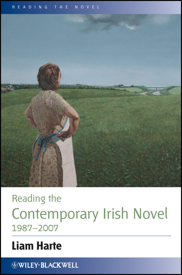 Reading the Contemporary Irish Novel 1987 - 2007 (Paperback / softback) 9781444336207