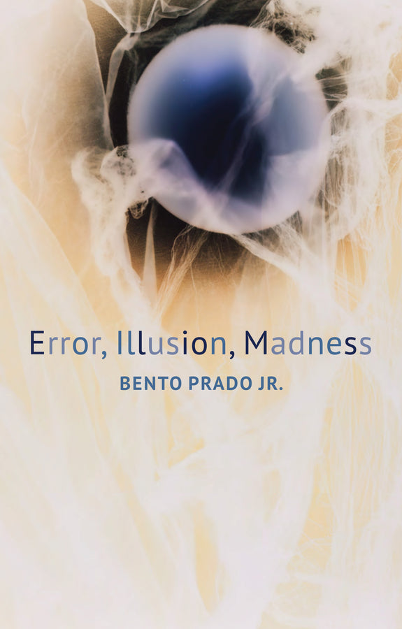 Error, Illusion, Madness (Paperback / softback) 9781509537051
