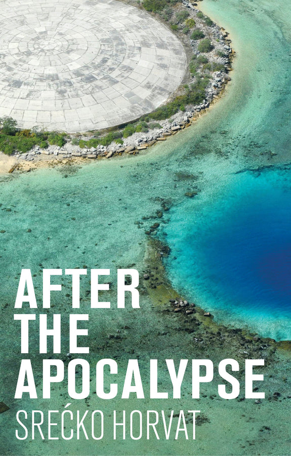 After the Apocalypse (Hardback) 9781509540075