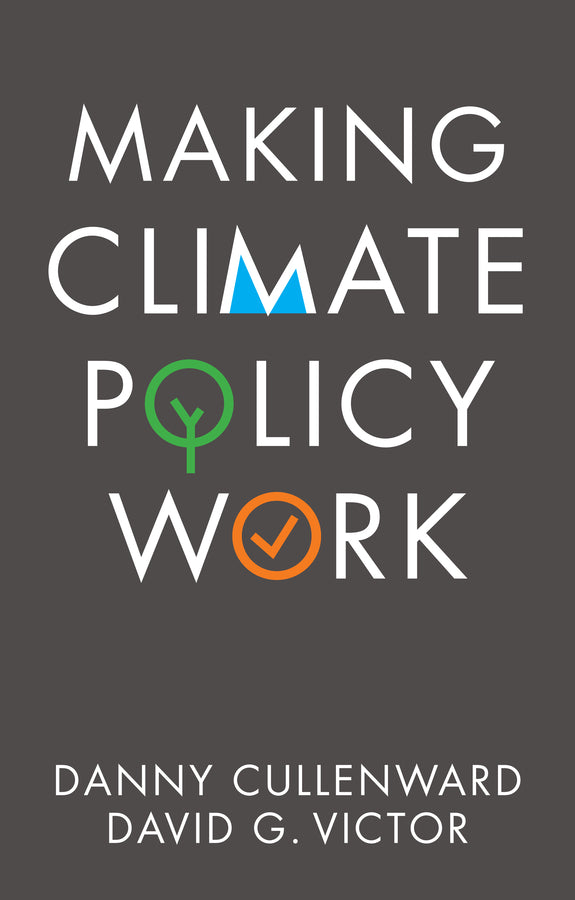 Making Climate Policy Work (Hardback) 9781509541799