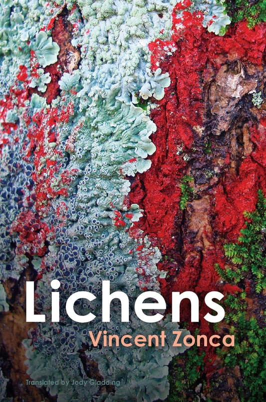Lichens; Toward a Minimal Resistance (Paperback / softback) 9781509553457