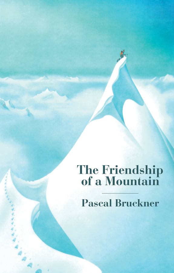 The Friendship of a Mountain; A Brief Treatise on Elevation (Hardback) 9781509555536