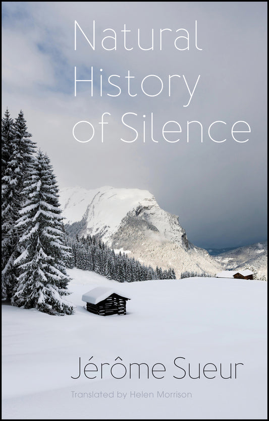 Natural History of Silence (Hardback) 9781509564019